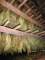 Tobacco Farm19.jpg